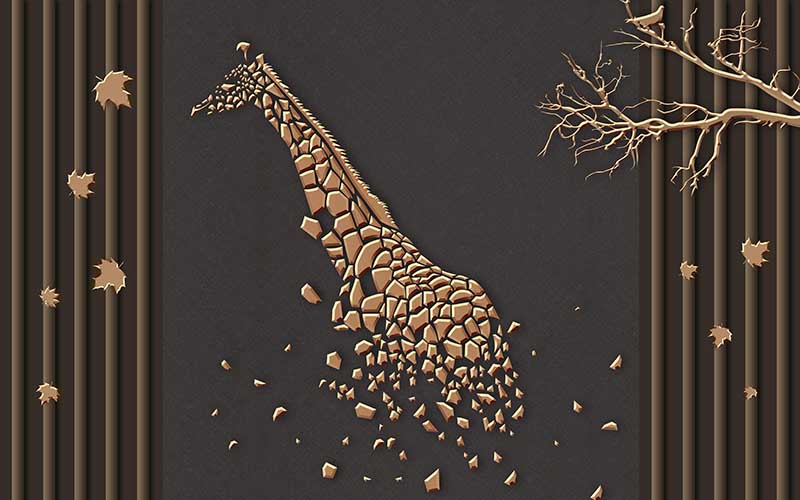 5b6170bc03476