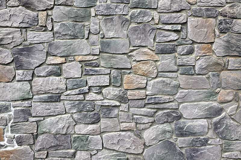 459006013