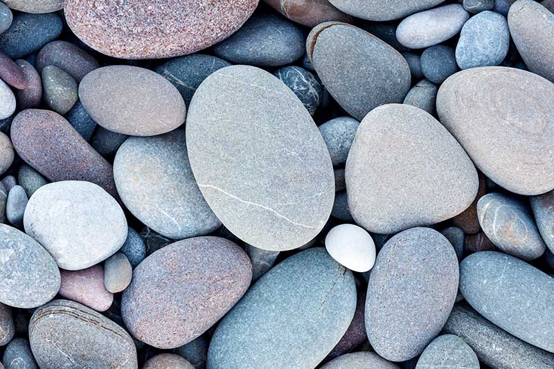 528898111